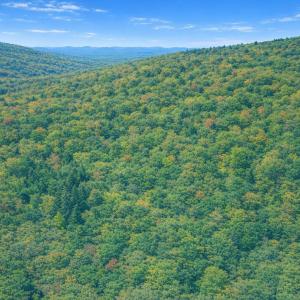 Photo #5 of LOT 168 FOREST RIDGE TRL, FORT VALLEY, VA 0.7 acres