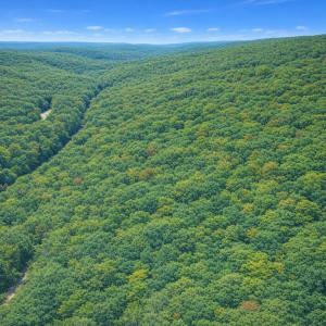 Photo #4 of LOT 168 FOREST RIDGE TRL, FORT VALLEY, VA 0.7 acres