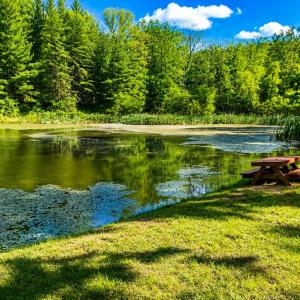 Photo #8 of LOT 168 FOREST RIDGE TRL, FORT VALLEY, VA 0.7 acres