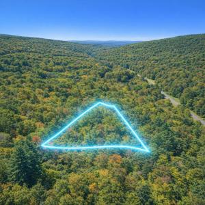 Photo #1 of LOT 169 FOREST RIDGE TRL, FORT VALLEY, VA 1.0 acres