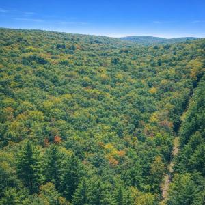 Photo #2 of LOT 170 FOREST RIDGE TRL, FORT VALLEY, VA 0.9 acres