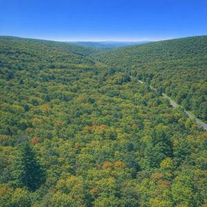 Photo #3 of LOT 170 FOREST RIDGE TRL, FORT VALLEY, VA 0.9 acres