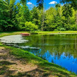 Photo #9 of LOT 170 FOREST RIDGE TRL, FORT VALLEY, VA 0.9 acres