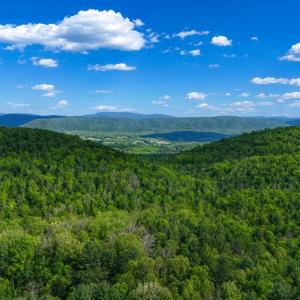 Photo #10 of LOT 170 FOREST RIDGE TRL, FORT VALLEY, VA 0.9 acres