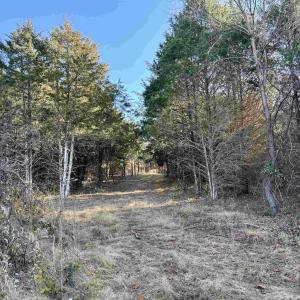 Photo #12 of HARPER VALLEY RD, LURAY, VA 4.8 acres