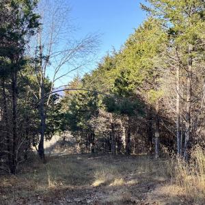 Photo #9 of HARPER VALLEY RD, LURAY, VA 4.8 acres