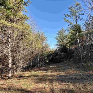 Photo #7 of HARPER VALLEY RD, LURAY, VA 4.8 acres