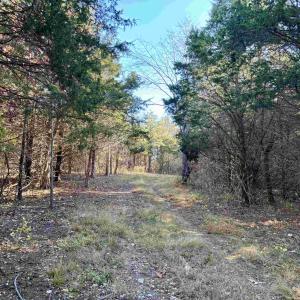 Photo #11 of HARPER VALLEY RD, LURAY, VA 4.8 acres