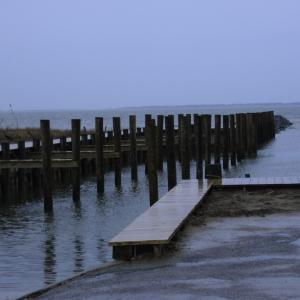 Photo #5 of Lot 42 CORBIN HALL LN, HORNTOWN, VA 3.0 acres