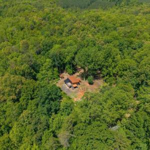 Photo #27 of 7676 OLD DOMINION RD, SCHUYLER, VA 40.3 acres