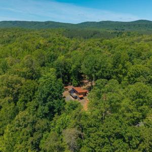 Photo #29 of 7676 OLD DOMINION RD, SCHUYLER, VA 40.3 acres