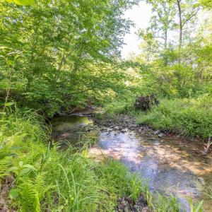 Photo #10 of 7676 OLD DOMINION RD, SCHUYLER, VA 40.3 acres