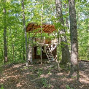Photo #7 of 7676 OLD DOMINION RD, SCHUYLER, VA 40.3 acres