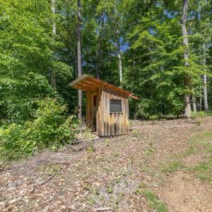 Photo #12 of 7676 OLD DOMINION RD, SCHUYLER, VA 40.3 acres