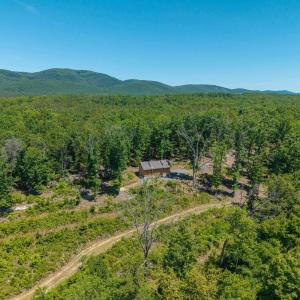 Photo #28 of 7676 OLD DOMINION RD, SCHUYLER, VA 40.3 acres