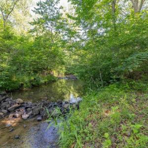 Photo #9 of 7676 OLD DOMINION RD, SCHUYLER, VA 40.3 acres