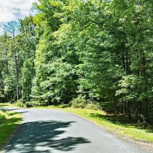 Photo #3 of 35 IRONWOOD LN, NELLYSFORD, VA 1.6 acres