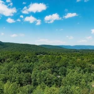 Photo #8 of 35 IRONWOOD LN, NELLYSFORD, VA 1.6 acres