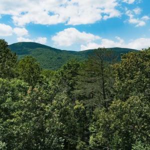 Photo #6 of 35 IRONWOOD LN, NELLYSFORD, VA 1.6 acres