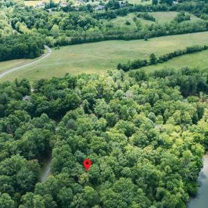Photo #16 of 35 IRONWOOD LN, NELLYSFORD, VA 1.6 acres