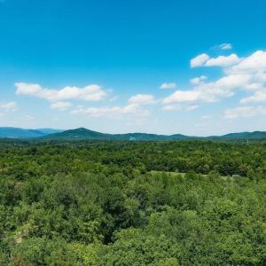 Photo #9 of 35 IRONWOOD LN, NELLYSFORD, VA 1.6 acres