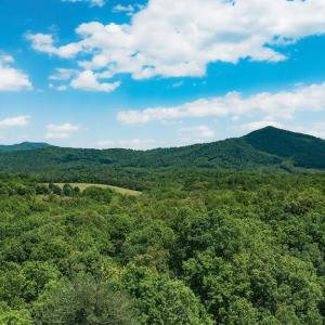 Photo #10 of 35 IRONWOOD LN, NELLYSFORD, VA 1.6 acres