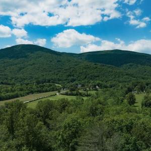 Photo #7 of 35 IRONWOOD LN, NELLYSFORD, VA 1.6 acres
