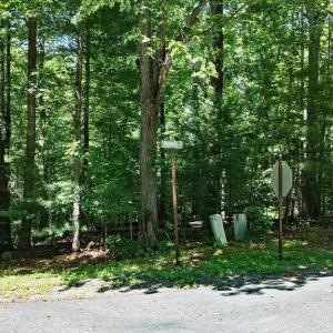 Photo #4 of 35 IRONWOOD LN, NELLYSFORD, VA 1.6 acres