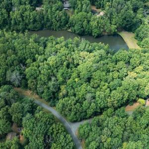 Photo #13 of 35 IRONWOOD LN, NELLYSFORD, VA 1.6 acres