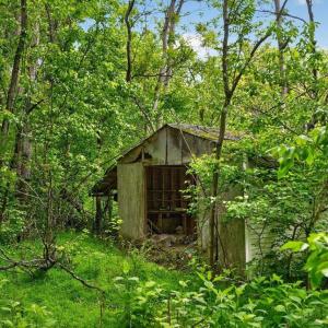 Photo #9 of 258 STRICKLER LN, NEW MARKET, VA 1.7 acres