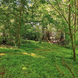 Photo #18 of 258 STRICKLER LN, NEW MARKET, VA 1.7 acres