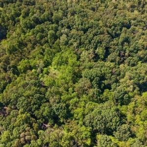 Photo #11 of 258 STRICKLER LN, NEW MARKET, VA 1.7 acres