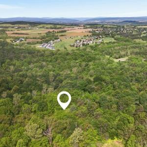 Photo #4 of 258 STRICKLER LN, NEW MARKET, VA 1.7 acres