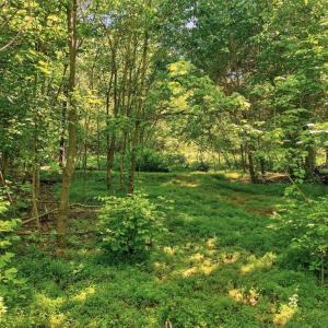 Photo #22 of 258 STRICKLER LN, NEW MARKET, VA 1.7 acres