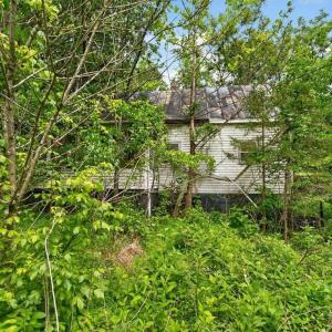 Photo #7 of 258 STRICKLER LN, NEW MARKET, VA 1.7 acres