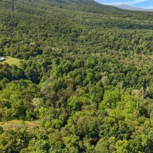 Photo #13 of 258 STRICKLER LN, NEW MARKET, VA 1.7 acres