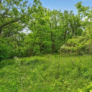 Photo #24 of 258 STRICKLER LN, NEW MARKET, VA 1.7 acres