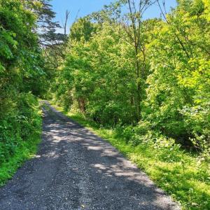 Photo #15 of 258 STRICKLER LN, NEW MARKET, VA 1.7 acres