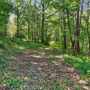 Photo #16 of 258 STRICKLER LN, NEW MARKET, VA 1.7 acres