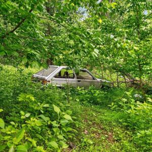 Photo #23 of 258 STRICKLER LN, NEW MARKET, VA 1.7 acres