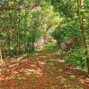 Photo #19 of 258 STRICKLER LN, NEW MARKET, VA 1.7 acres