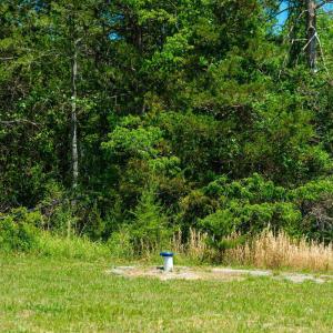 Photo #18 of BOONESVILLE RD, FREE UNION, VA 9.1 acres
