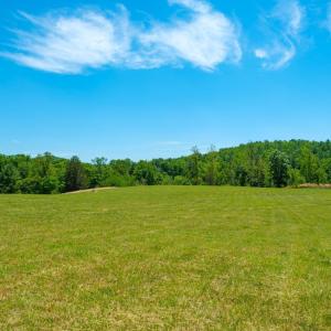 Photo #11 of BOONESVILLE RD, FREE UNION, VA 9.1 acres