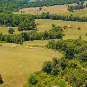 Photo #10 of BOONESVILLE RD, FREE UNION, VA 9.1 acres