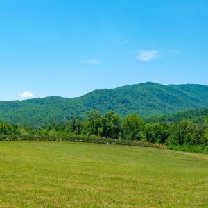 Photo #1 of BOONESVILLE RD, FREE UNION, VA 9.1 acres