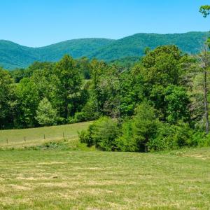 Photo #6 of BOONESVILLE RD, FREE UNION, VA 9.1 acres
