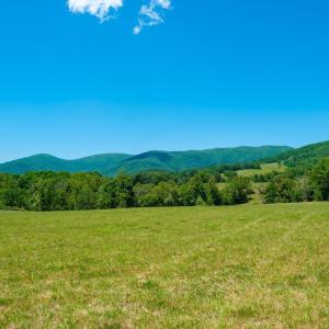 Photo #7 of BOONESVILLE RD, FREE UNION, VA 9.1 acres