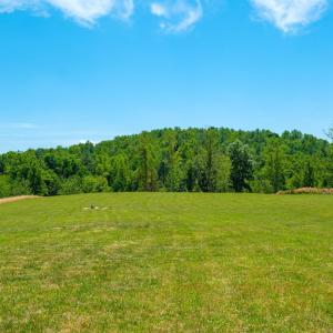 Photo #14 of BOONESVILLE RD, FREE UNION, VA 9.1 acres