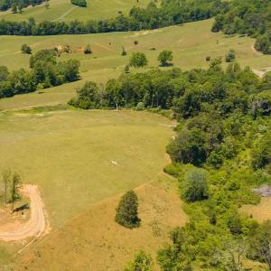 Photo #4 of BOONESVILLE RD, FREE UNION, VA 9.1 acres