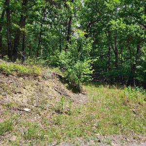 Photo #2 of 39V HIGH VALLEY DR, MONTEREY, VA 5.0 acres